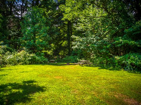 We did not find results for: Virginia's Beach Campground - Pennsylvania Camping on Lake ...