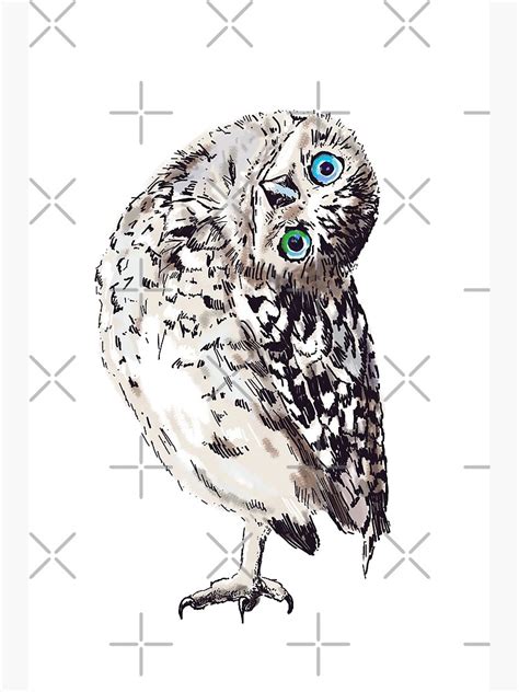 Funny Owl With Blue Eyes Staring At You Poster For Sale By Animalista
