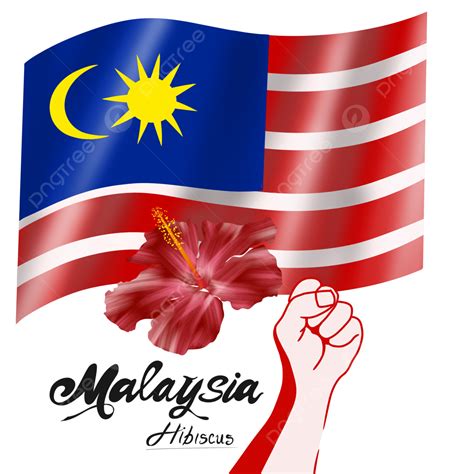 Malaysia Flag Illustration With Hibiscus Flower Vector Image Malaysia Hibiscus Flag PNG