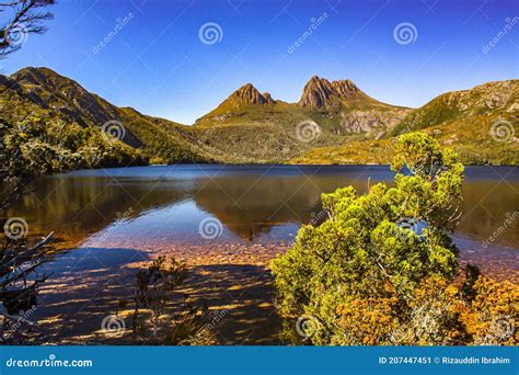 The View At The Shore Of Dove Lake Wit Cradle Mountain In Cradle