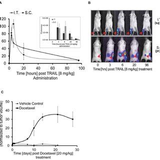 Using an energy detector (also known as model is utilizing the energy detector for spectrum sensing. (PDF) Imaging Proteolytic Activity in Live Cells and ...