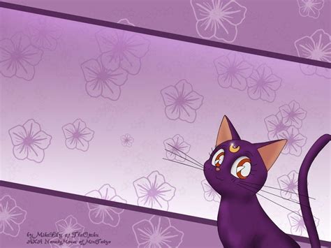 Luna Sailor Moon Wallpapers Top Free Luna Sailor Moon Backgrounds