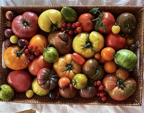 Best Tasting Heirloom Tomato Varieties Sweetest To Most Robust