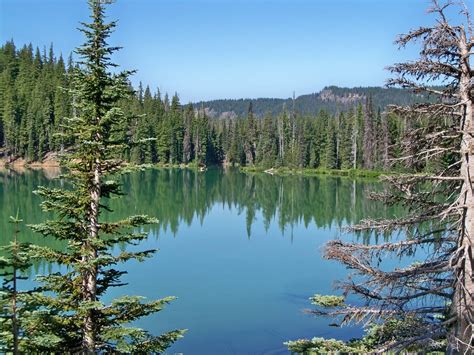 It is against the law to keep coho salmon or. Devils Lake, Oregon | Oregon outdoors, Devils lake, Travel ...