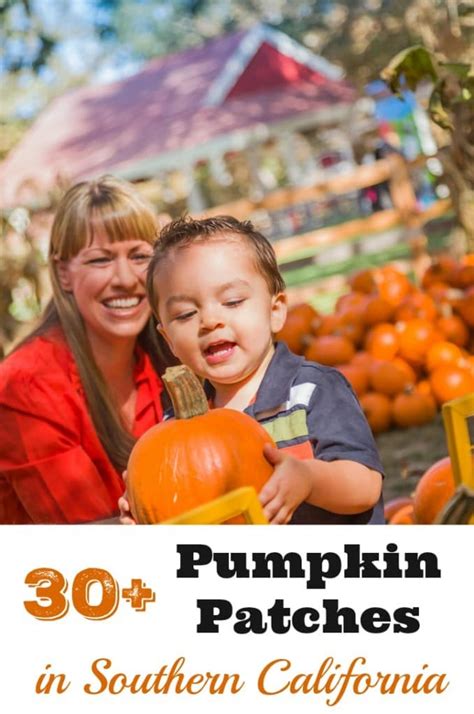 30 Awesome Pumpkin Patches In Southern California Isnca