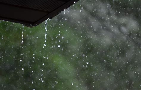 Rain Photography