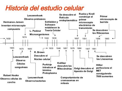 Linea Del Tiempo De La Teoria Celular Y El Microscopio Compartir Celular