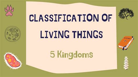 5 Kingdoms Classification Of Living Things Youtube