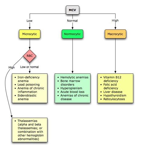 Preliminary Analysis of Anemias Using a Morphologic ...