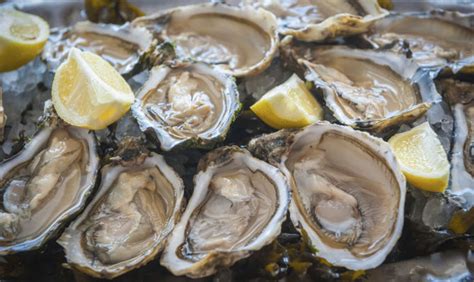 Maybe you would like to learn more about one of these? In Irlanda per una scorpacciata di ostriche