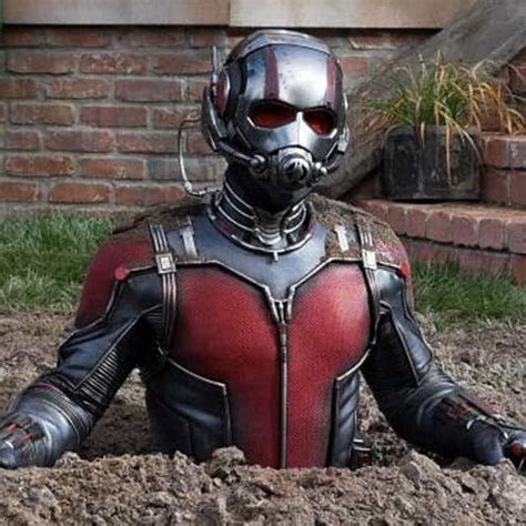 The Best Ant Man Quotes From The Mcu Ranked By Fans