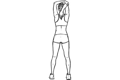Once the bar is at your forehead, lower your shoulders and roll your arms back so the bar is behind your head. Pre/Post Workout Stretch · WorkoutLabs Fit