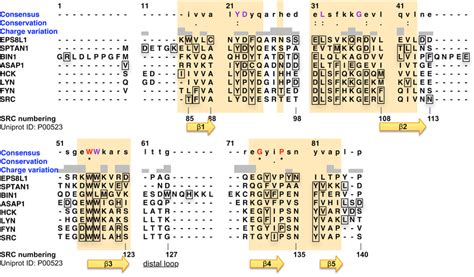 Structural Alignment Of The Sh3 Domain Variants With Consensus