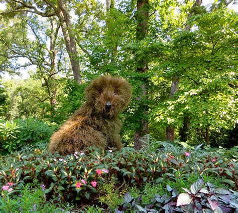 A Curious Gardener Atlanta Botanical Garden