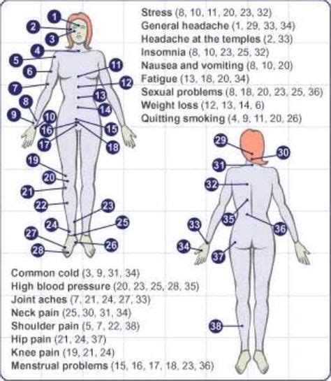 Trigger Points Chart Web Site Designed And Hosted At Homestead™ Cupping Therapy Acupuncture