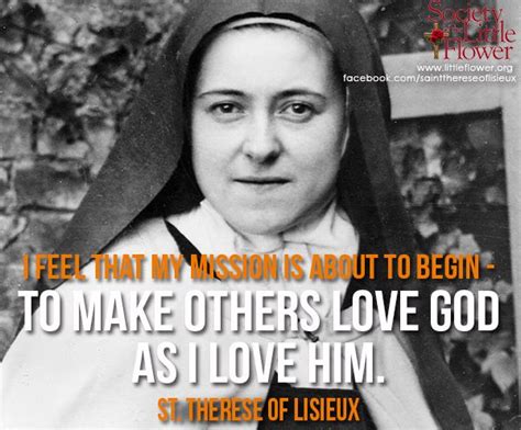 St Therese Daily Inspiration My Mission Is About To Begin Saint