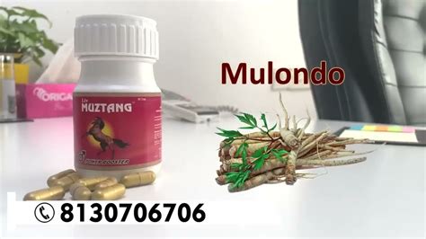Liv Muztang Made Up Of African Herb Mulondo And Ayurvedic Herbs