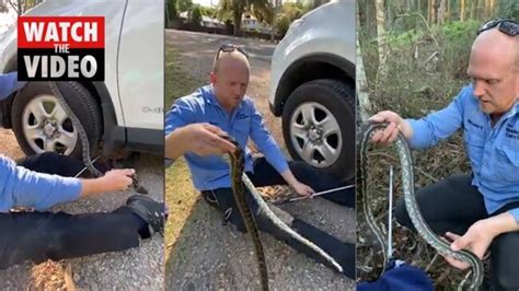 Pinay golfer yuka saso, bumaba sa ikalawang puwesto sa ikalawang araw ng us women's open 02:00 tv patrol: Slippery hitch hiker slithers into car (Sunshine Coast ...