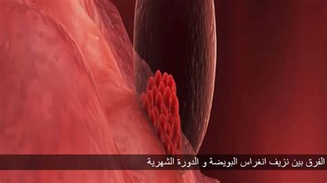 أما عند نزول قطرات من الدماء بسيطة، فذلك يعني أنها سوف تحقق الكثير من الأمنيات التي طال انتظارها ولكن على مراحل عمرية مختلفة. نزول قطرة دم في موعد الدورة ثم توقف.. على ماذا يدل؟ أخبار السعودية