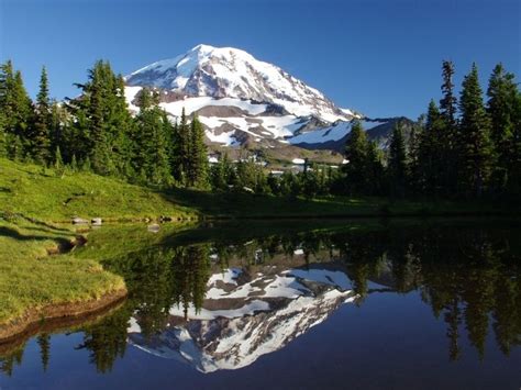 10 Best Things To Do In Mount Rainier National Park Eternal Arrival