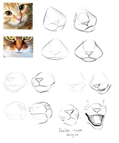 cat drawer snail keeper