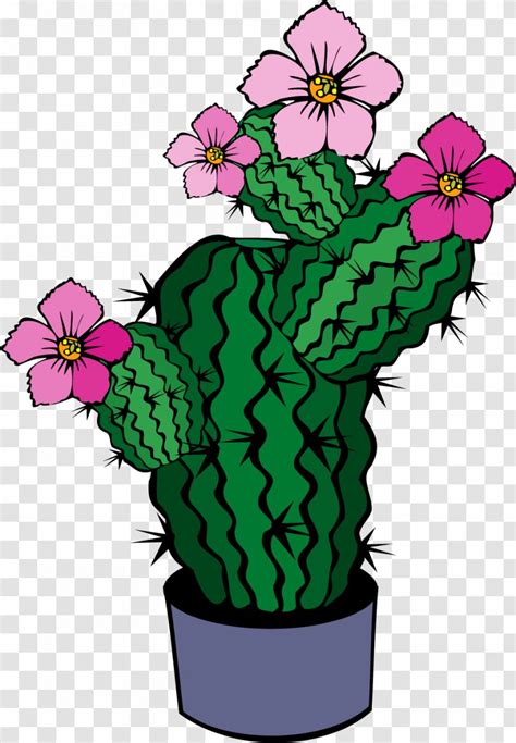 Cactaceae Drawing Flower Clip Art Cactus Vector Painted Flowering