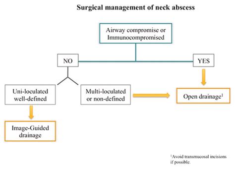 Summary Of Neck Abscess Surgical Management Notice That Mucosal