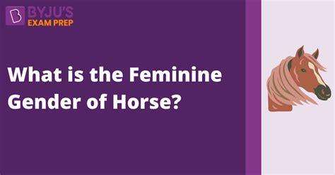 What Is The Feminine Gender Of Horse Answer Here