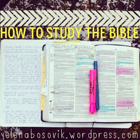 Quotes About Studying The Bible Quotesgram