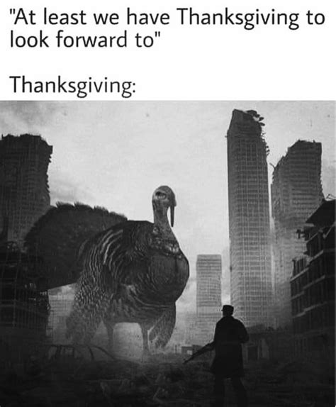 these turkey memes will make you gobble gobble what wap stands for memes