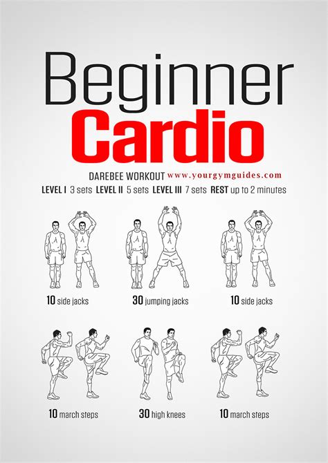 Cardio Workout For Beginner For Weight Loss Fitness And Workout Abs