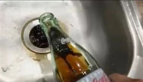 Man Claims To Find Dead Mouse Inside Bottle Of Diet Coke Mirror Online