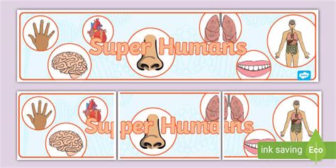 Free Super Humans Display Banner Teacher Made