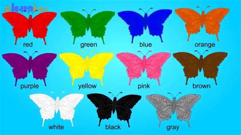 Learn Colors For Children With Colorful Butterfly Color Names With