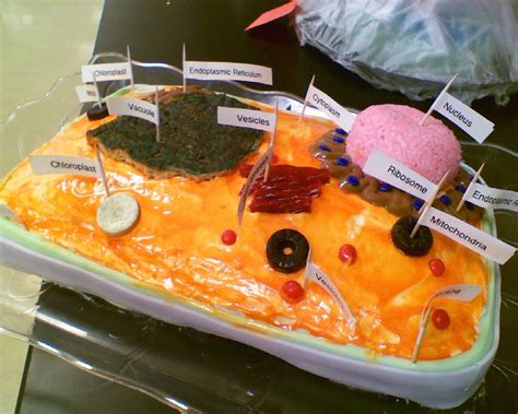 Maybe you would like to learn more about one of these? 8th Grade Science Project (Ms. Fowler) | Edible cell ...