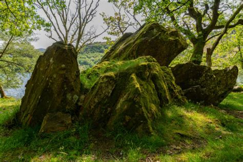 Mossy Boulders Stock Photos Pictures And Royalty Free Images Istock