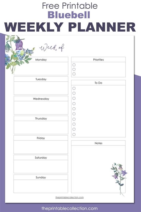 Planner Page For One Week With Bluebell Watercolor Flowers In Blue And