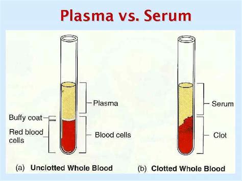 Blood Biochemistry Blood Costituents Major Functions