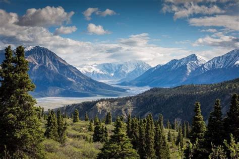 Places where plants, animals and microorganisms live. OFFICIALS PROPOSE NEW DEFINITION OF "HABITAT" | EHUNTR