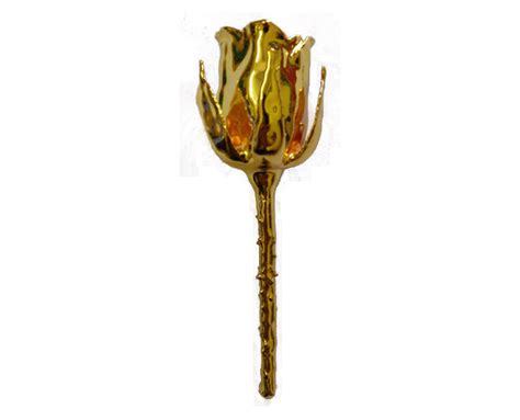 Check spelling or type a new query. Gold Dipped Rose
