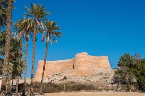 أراد بعض الكتاب البرتغاليين ربط عرقهم بلوسيتانيا القديمة، وقد اقترحوا بأن لتاريخهم وجود منفصل ومستمر منذ القرن الثاني قبل الميلاد. قلعة "تاروت" السعودية ... أقدم ثغور البرتغاليين في الجزيرة ...
