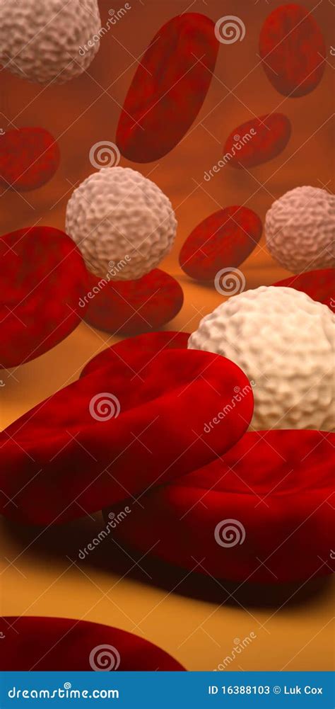 Red And White Blood Cells Stock Illustration Illustration Of Cell