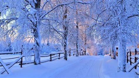 Winter Fence Wallpapers Top Free Winter Fence Backgrounds