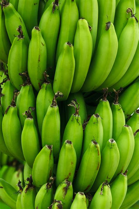 Зеленые Бананы Фото Telegraph
