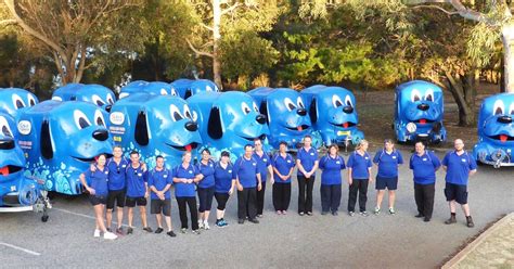 Mobile Dog Grooming & Washing Franchise