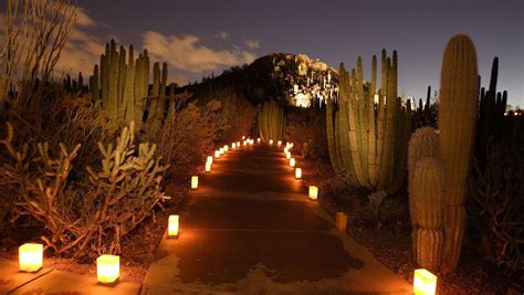 Your Guide To Desert Botanical Gardens Christmas Lights In Phoenix