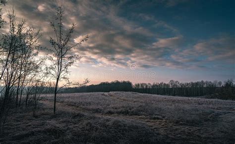 Winter Moring Among Fields Stock Photo Image Of Nature 209077604