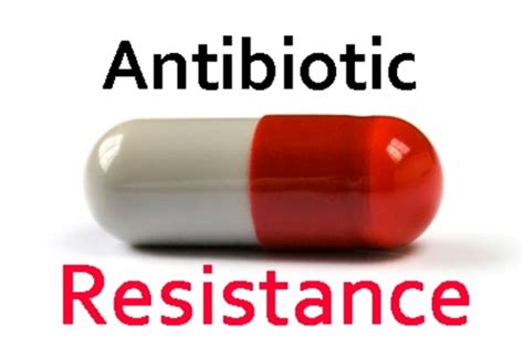 Data sources include ibm watson micromedex (updated 1 july 2021), cerner multum™ (updated 1 july 2021), ashp (updated 30 june. 5 Ways for Antibiotic Resistance Prevention | Just-Health.net