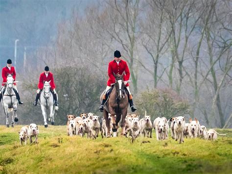 ‘no Plans To Change Hunting Act Despite Trail Hunting Row Express And Star