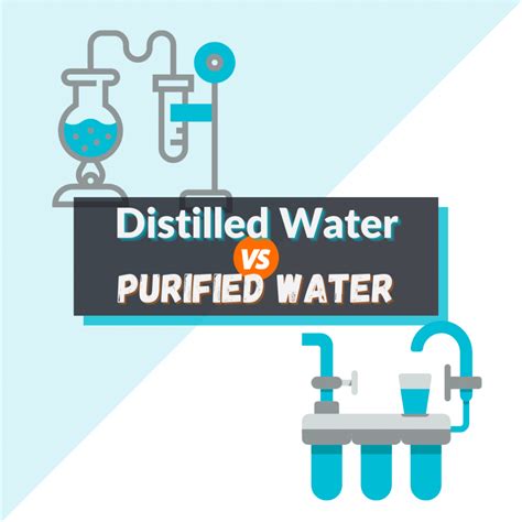 Distilled Water Vs Purified Water 2022 Ultimate Guide